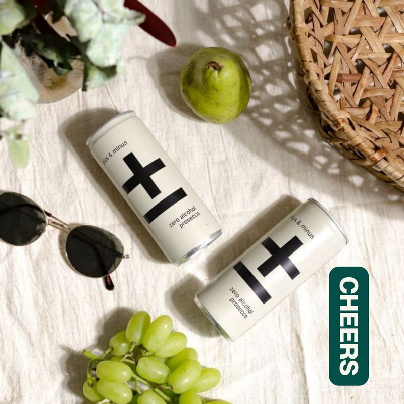 Plus and Minus Prosecco (250ml cans) – Shift Lanes Drinks